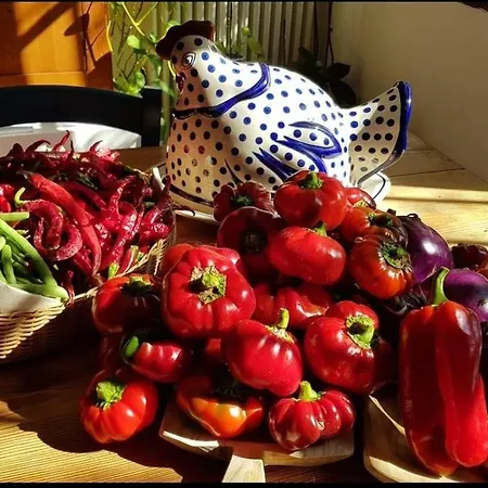منزل للإقامة Il Giardino Di Frafa *