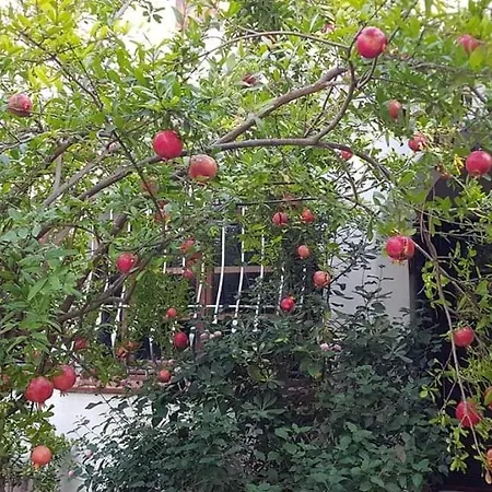 Il Giardino Di Frafa منزل للإقامة *