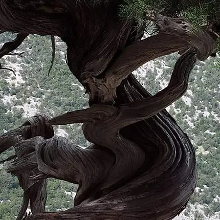 منزل للإقامة Il Giardino Di Frafa